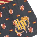 Harry Potter Lion gyerek boxeralsó 2 darab/csomag 6 - 8 év / 116 - 128 cm