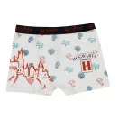 Harry Potter Castle Blue gyerek boxeralsó 2 darab/csomag 10 - 12 év / 140 - 152 cm