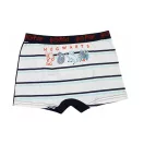 Harry Potter Castle gyerek boxeralsó 2 darab/csomag 8 - 10 év / 128 - 140 cm