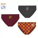 Harry Potter Gryffindor gyerek fehérnemű, alsó 3 darab/csomag 4 - 5 év / 104 - 110 cm