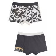   Batman Shadow Hero vgyerek boxeralsó 2 darab/csomag 4 - 5 év / 104 - 110 cm