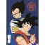 Dragon Ball Duo polár takaró 100x140cm