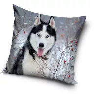 Kutyás Husky párnahuzat 40x40 cm