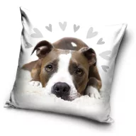 Kutyás Pit Bull Terrier Cute párnahuzat 40x40 cm