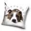 Kutyás Pit Bull Terrier Cute párnahuzat 40x40 cm