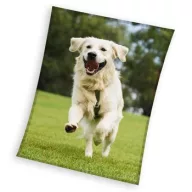   Kutyás Happytail Retriever coral fleece polár takaró 150x200cm