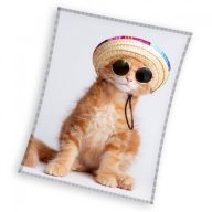 Cicás Cool Kitty coral fleece polár takaró 150x200cm