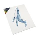 Feszített fakeretes festővászon Nassau 50x70 cm