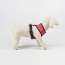 Disney Minnie Polka Dots kutyahám S-M