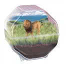 Mini Lion terrárium Clementoni