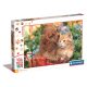 Állatos Cute Friends 104 db-os maxi puzzle Clementoni