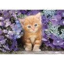 Cicás Ginger 500 db-os Compact puzzle Clementoni