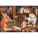 Cicás Curious Whiskers 1000 db-os Compact puzzle Clementoni