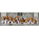 Kutyás Beagles 1000 db-os panoráma puzzle Clementoni