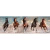 Lovas Brown Horses 1000 db-os panorama puzzle Clementoni