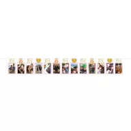 Esküvői Ring fotó füzér 365 cm