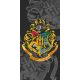 Harry Potter fürdőlepedő, strand törölköző 70*140cm