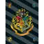 Harry Potter Crest  polár takaró 100x150cm