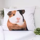Tengerimalac Furry ágyneműhuzat 140×200cm, 70×90 cm