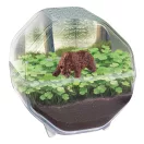 Mini Bear terrárium Clementoni II. osztály