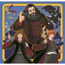 Harry Potter Chronicles 3x48 db-os puzzle Clementoni II. osztály