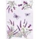 Levendula Butterfly A/4 gumis mappa