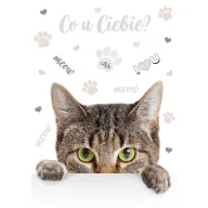 Cicás Meow A/4 gumis mappa