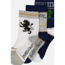 Harry Potter Hogwarts Houses gyerek zokni 23-34