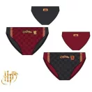 Harry Potter Gryffindor gyerek fürdőnadrág, úszó 6 - 12 év / 116 - 152 cm
