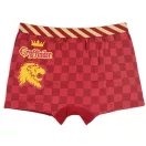 Harry Potter Lion gyerek boxeralsó 2 darab/csomag 6 - 12 év / 116 - 152 cm