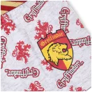 Harry Potter Lion gyerek boxeralsó 2 darab/csomag 6 - 12 év / 116 - 152 cm