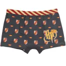 Harry Potter Lion gyerek boxeralsó 2 darab/csomag 6 - 12 év / 116 - 152 cm