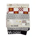 Harry Potter Houses gyerek boxeralsó 2 darab/csomag 6 - 12 év / 116 - 152 cm