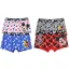 Disney Mickey Clever gyerek boxeralsó 2 darab/csomag 2 - 8 év / 92 - 128 cm
