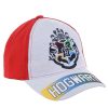 Harry Potter Hogwarts Grey gyerek baseball sapka 52-54 cm
