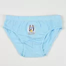 Bluey Fun gyerek fehérnemű, alsó 3 darab/csomag 3 - 6 év / 98 - 116 cm