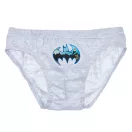 Batman Fear the Bat gyerek fehérnemű, alsó 3 darab/csomag 3 - 6 év / 98 - 116 cm